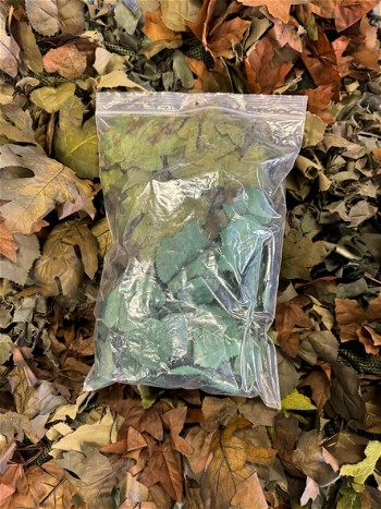 Image 3 pour Unique leaves ghillie