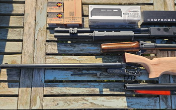 Image 2 for Mooi shotty triootje