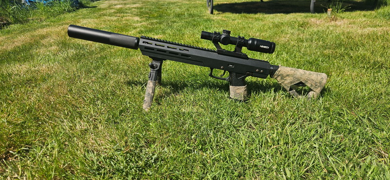 Image 1 pour Ssx303 en g&g m4 aeg