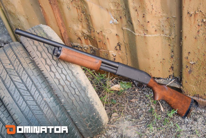 Afbeelding 1 van Gezocht: Dominator DM870 (with F stamp only)